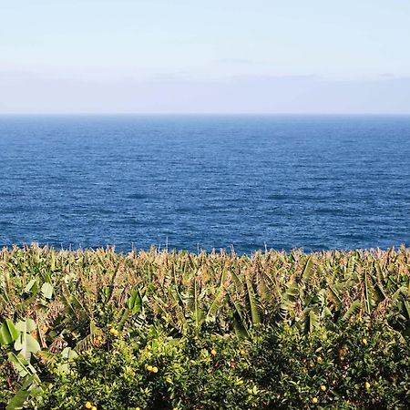 El Convento II Tranquilidad Y Vistas Unicas Διαμέρισμα San Andres  Εξωτερικό φωτογραφία